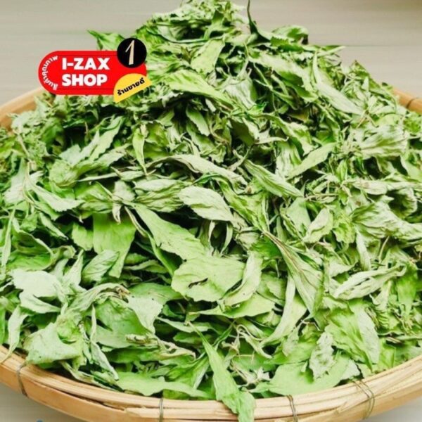 Organic Dried Thai Stevia Leaves