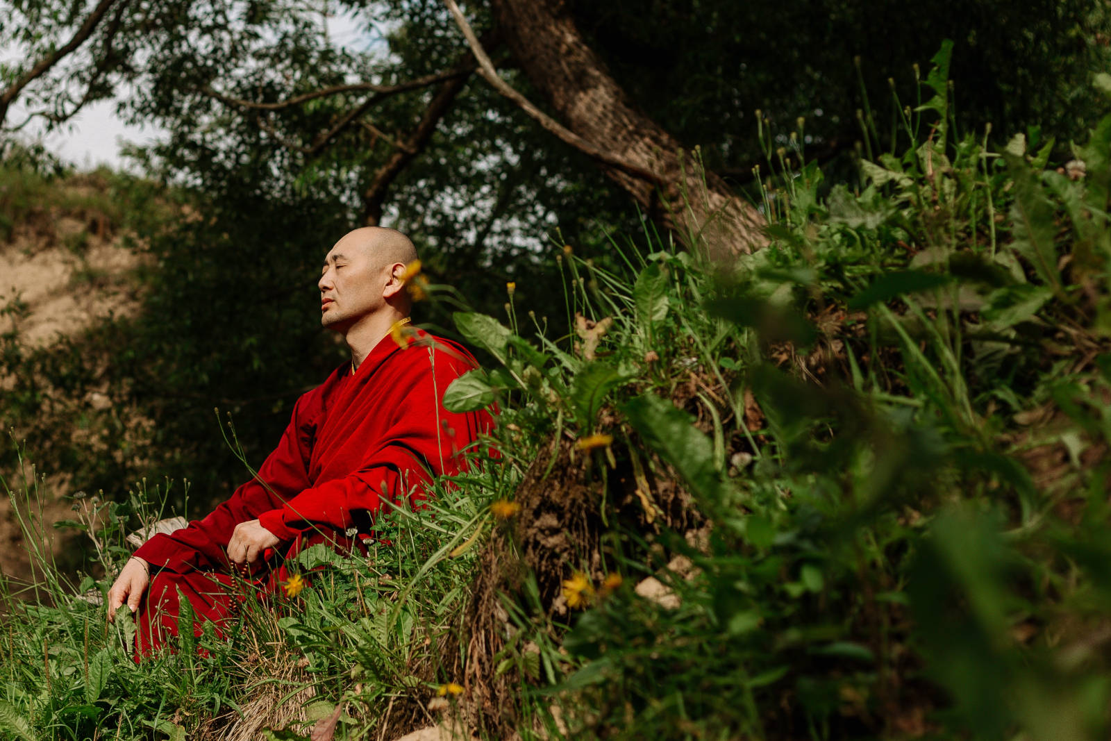 7 Steps to Meditate Like a Thai Monk starting Today
